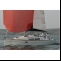 Yacht Jeanneau Sun Odyssey 36i/3cab Anderes Binnen Details